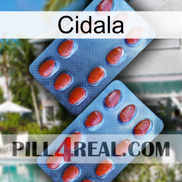 Cidala 05